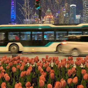 a性美少妇淫秽片
